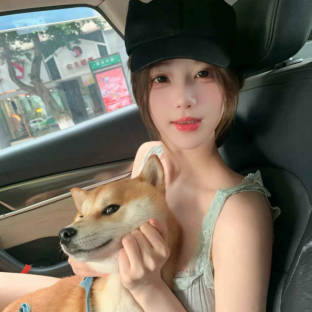寻狗记