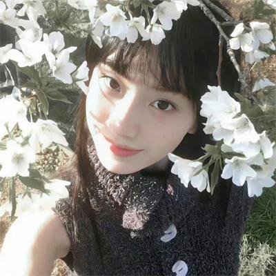 小夜莺